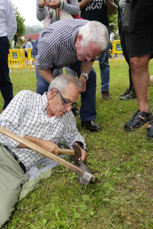 Cientos de personas disfrutaron en Benia de Onís de los concursos de siega, cabruñu y sábanu, así como la carrera en madreñes, en la Fiesta del Segador. 