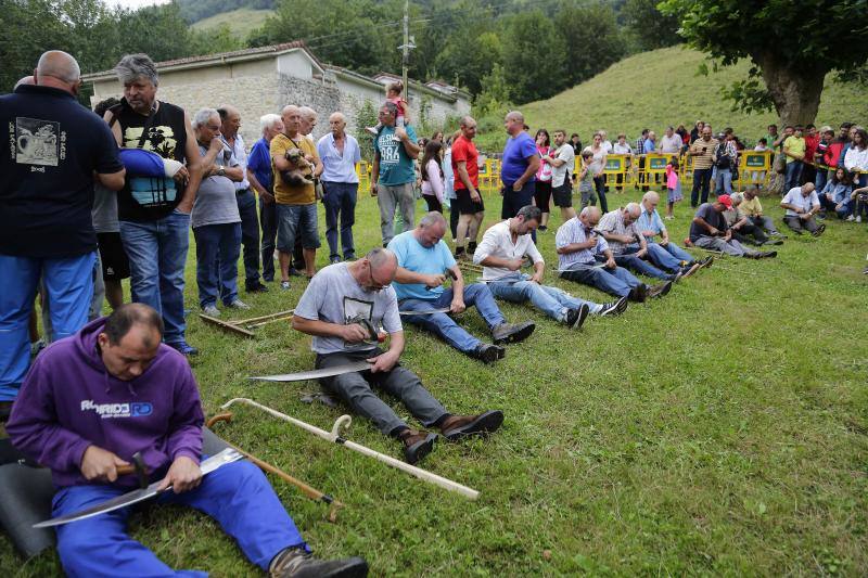 Cientos de personas disfrutaron en Benia de Onís de los concursos de siega, cabruñu y sábanu, así como la carrera en madreñes, en la Fiesta del Segador. 