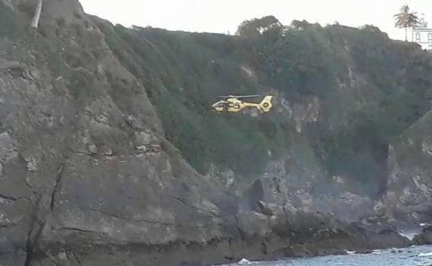 El helicóptero de emergencias, rescatando al animal. 
