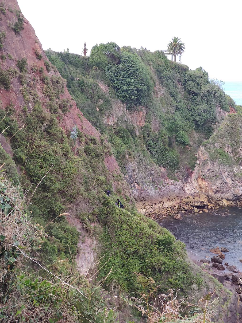 Tres escaladores han conseguido rescatar a 'Xana' en un acantilado de Candás. Se trata de una perra de tan solo ocho meses que llevaba una semana perdida. 