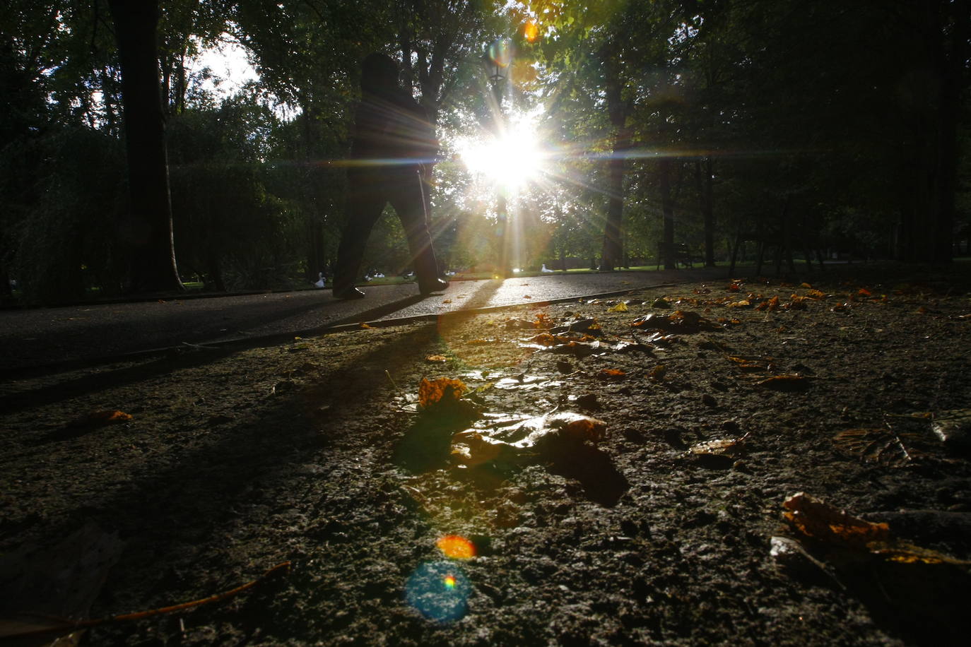 Parque de Ferrera (Avilés) 