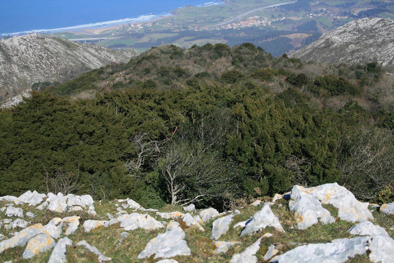 La Biescona (Parres-Colunga)