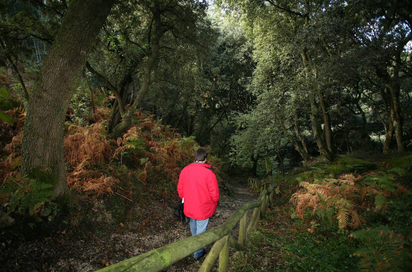 Senda de Bustio (Llanes)