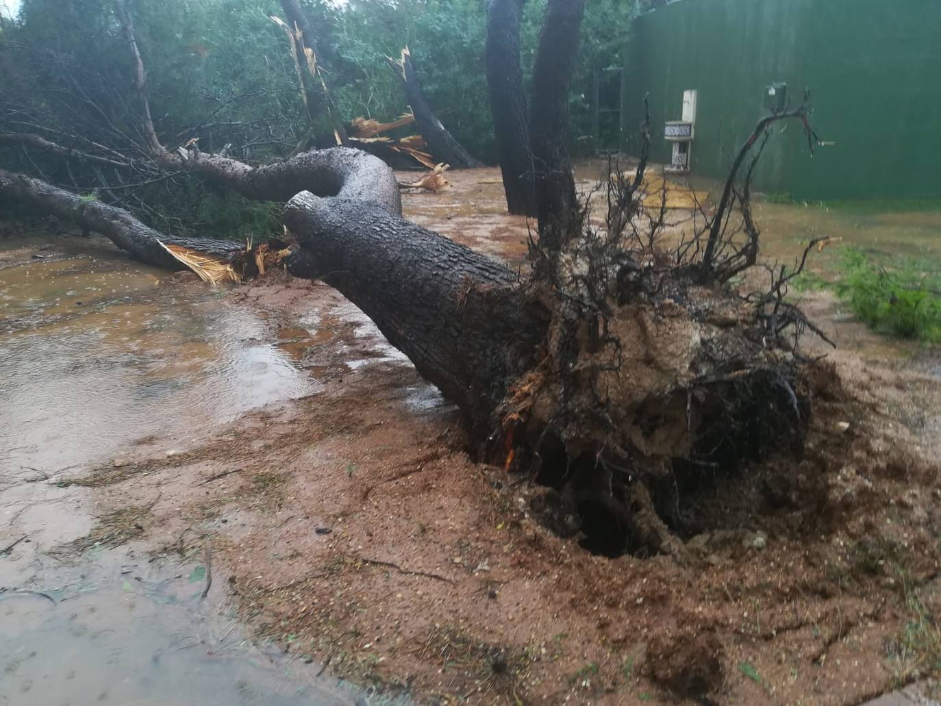 El temporal deja el tercer muerto, desborda el río Segura y azota todo el sureste. En la localidad valenciana de Onteniente, las lluvias por la gota fría ya acumulan más de trescientos litros por metro cuadrado, su máximo de lluvias desde 1917