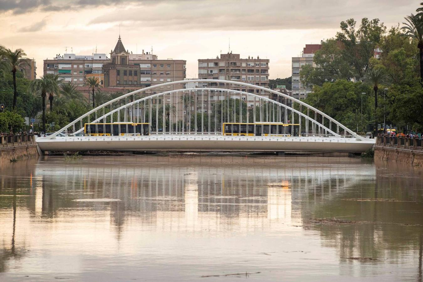 El Segura, al límite a su paso por Murcia.