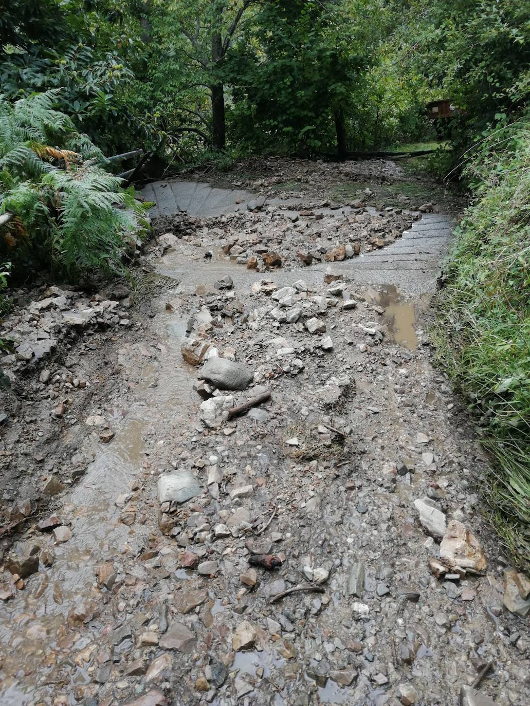 La carrerera AS-15 permanece cortada entre los kilómetros 88 y 90, a la altura de Fondos de Vega, en Degaña, tras producirse cinco argayos como consecuencia de una fuerte tormenta que cayó pasadas las 14 horas