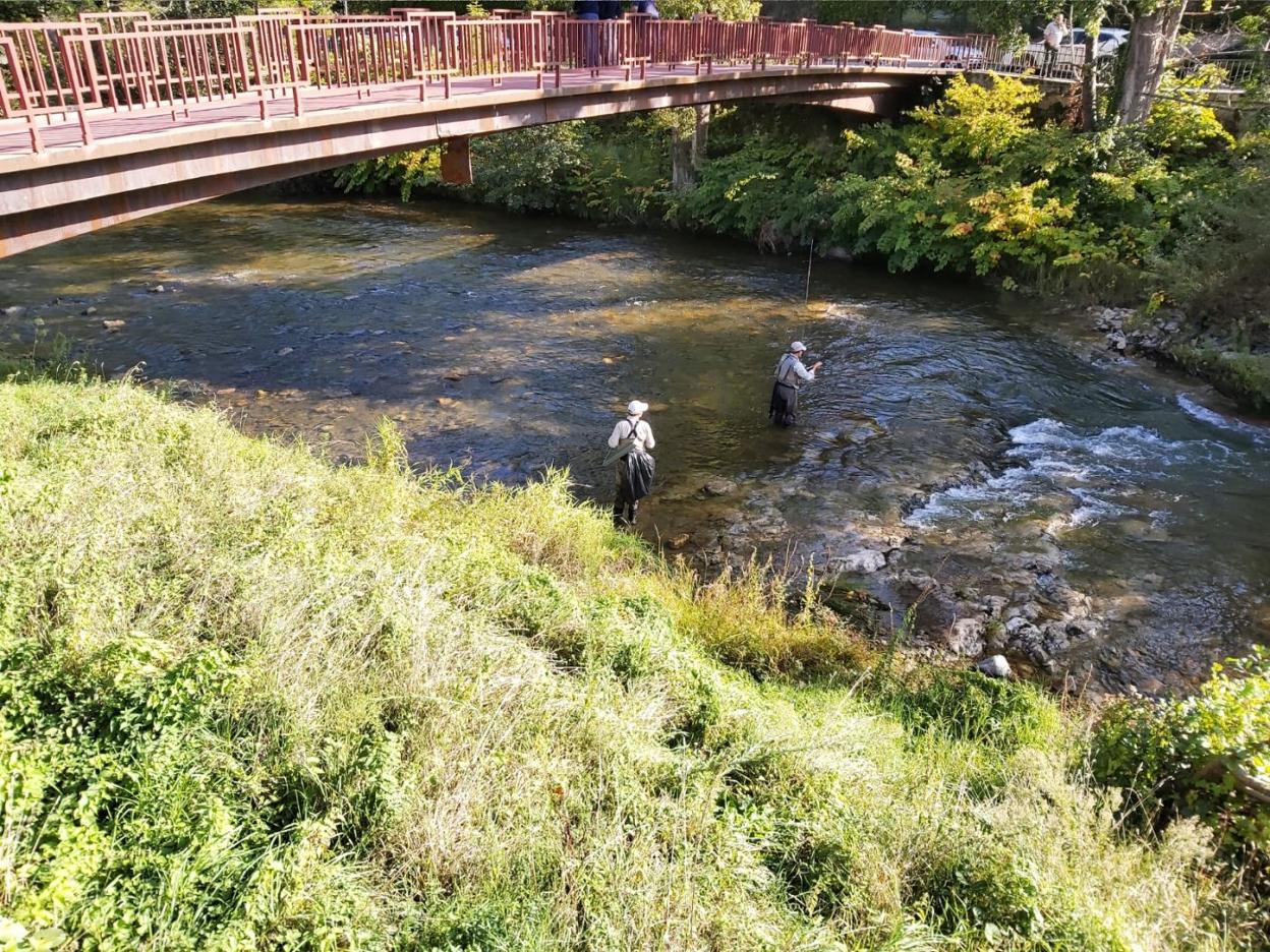 Dos de los participantes pescan en el Piloña durante la prueba. 