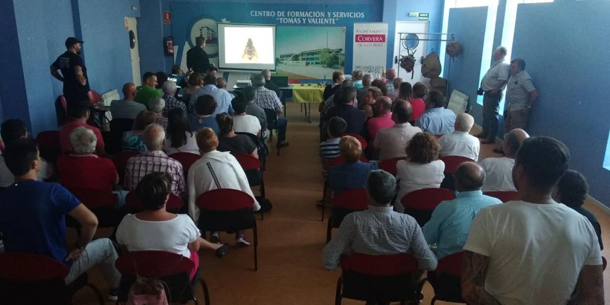 Asamblea ciudadana sobre la avispa asiática. 