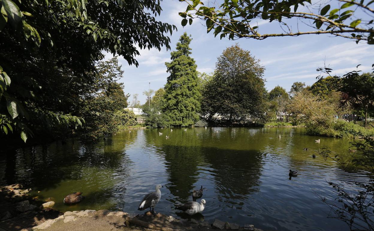 Estanque del parque Isabel la Católica de Gijón.