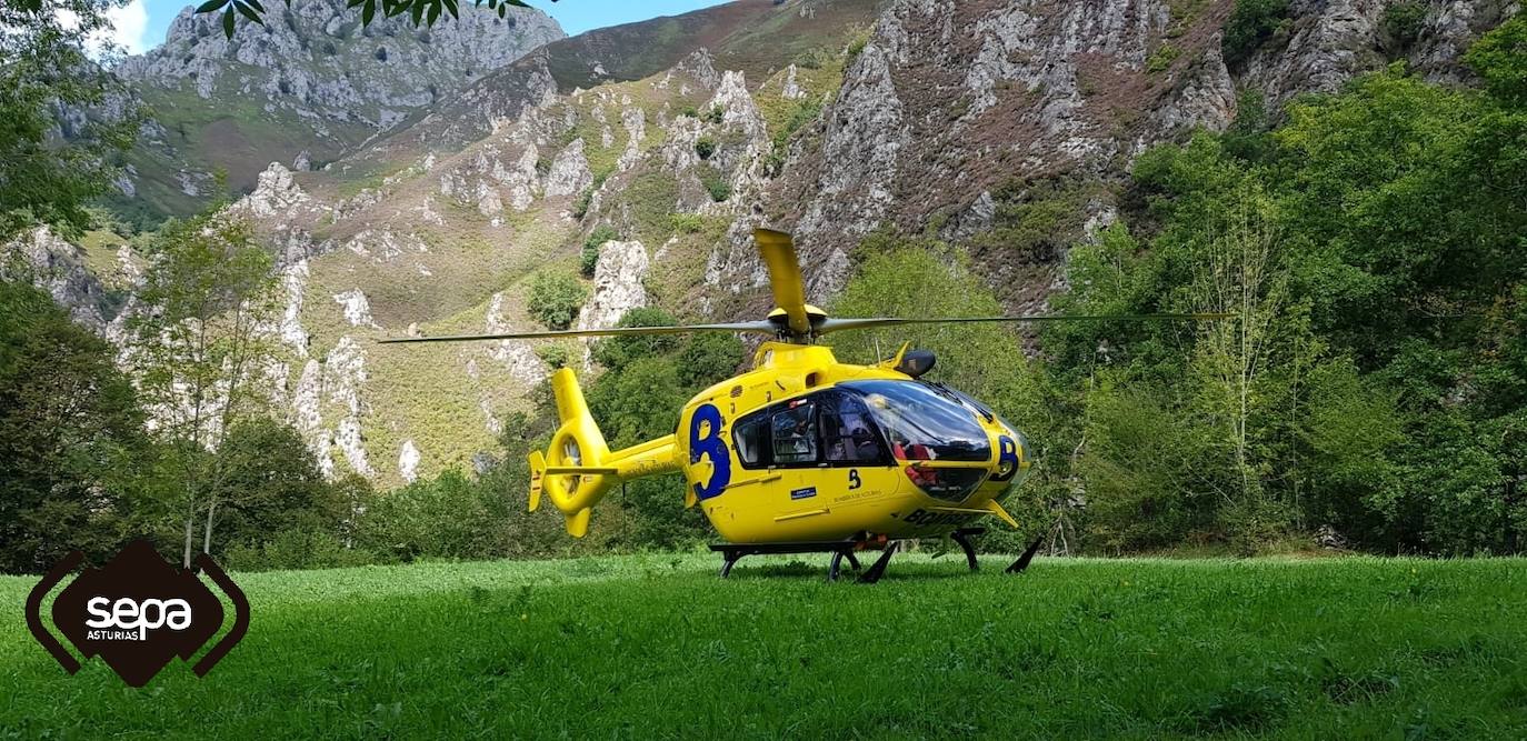 La afectada fue trasladada en helicóptero al Hospital de Arriondas. 