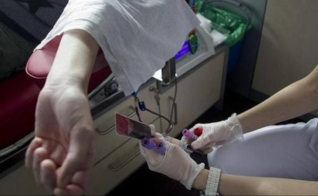 Testigos de Jehová se oponen a la transfusión de sangre a su hija de diez meses, salvada gracias a un juez