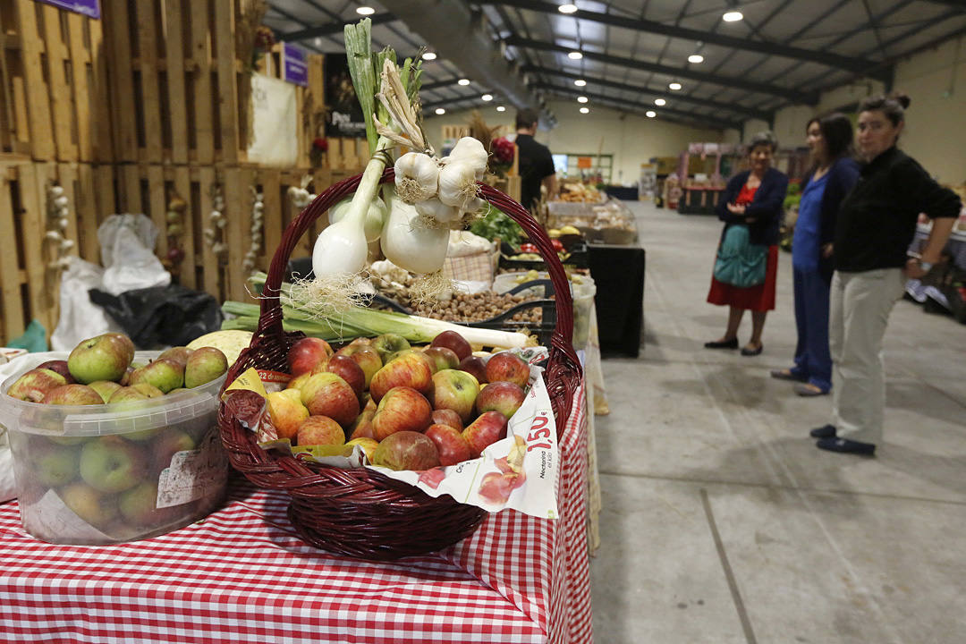 La Feria del Campo y las Industrias Agrícolas, Ganaderas, Forestales y Pesqueras (Agropec) se celebra en el recinto ferial Luis Adaro de Gijón hasta el domingo.
