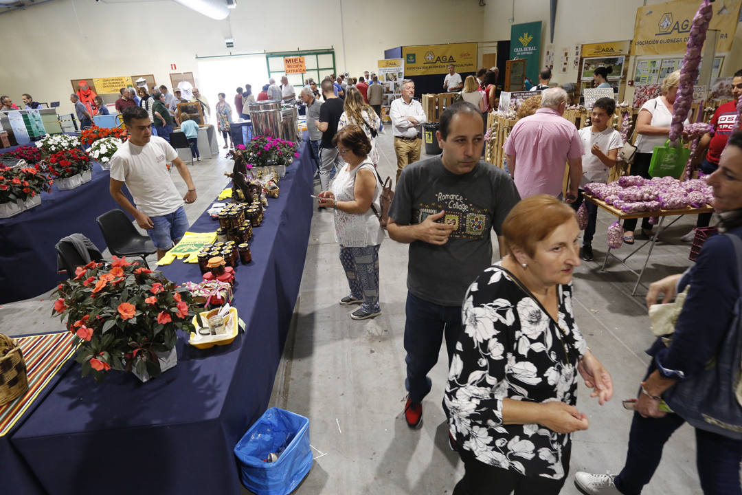 El recinto ferial Luis Adaro de Gijón se ha convertido en el mejor escaparate para los productos del campo asturiano. La agricultura y la ganadería, de ayer y de hoy, están representadas en un certamen atractivo para pequeños y mayores.
