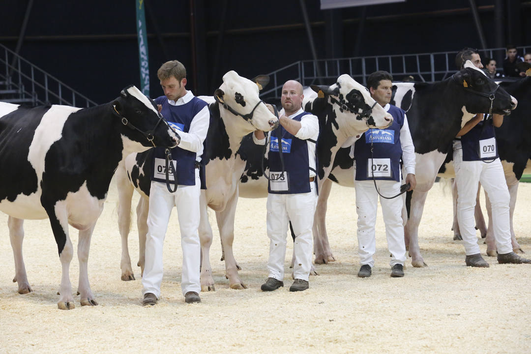 El recinto ferial Luis Adaro de Gijón se ha convertido en el mejor escaparate para los productos del campo asturiano. La agricultura y la ganadería, de ayer y de hoy, están representadas en un certamen atractivo para pequeños y mayores.