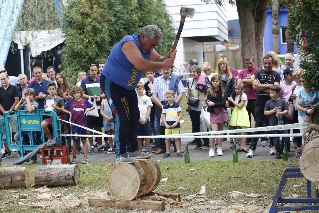 Deportes y juegos tradicionales, concurso de ganado, degustación de sidra y otros productos autóctonos han puesto el broche a la edición de este año de la feria del campo asturiano, Agropec.