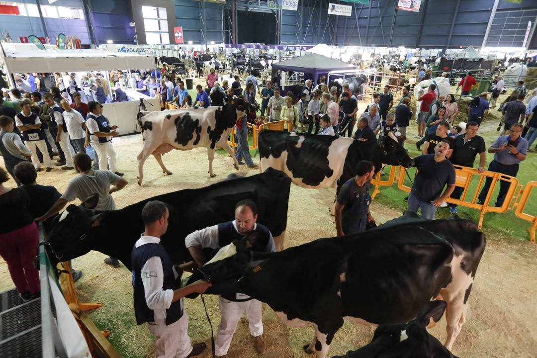 Deportes y juegos tradicionales, concurso de ganado, degustación de sidra y otros productos autóctonos han puesto el broche a la edición de este año de la feria del campo asturiano, Agropec.