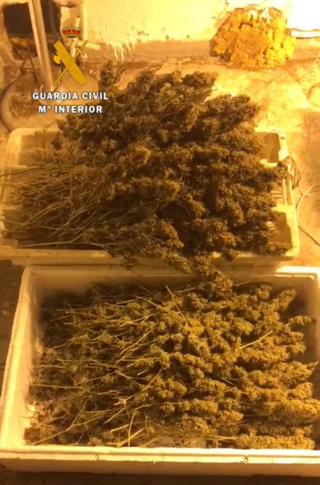 Parte de la marihuana intervenida en la 'operación Green'. 