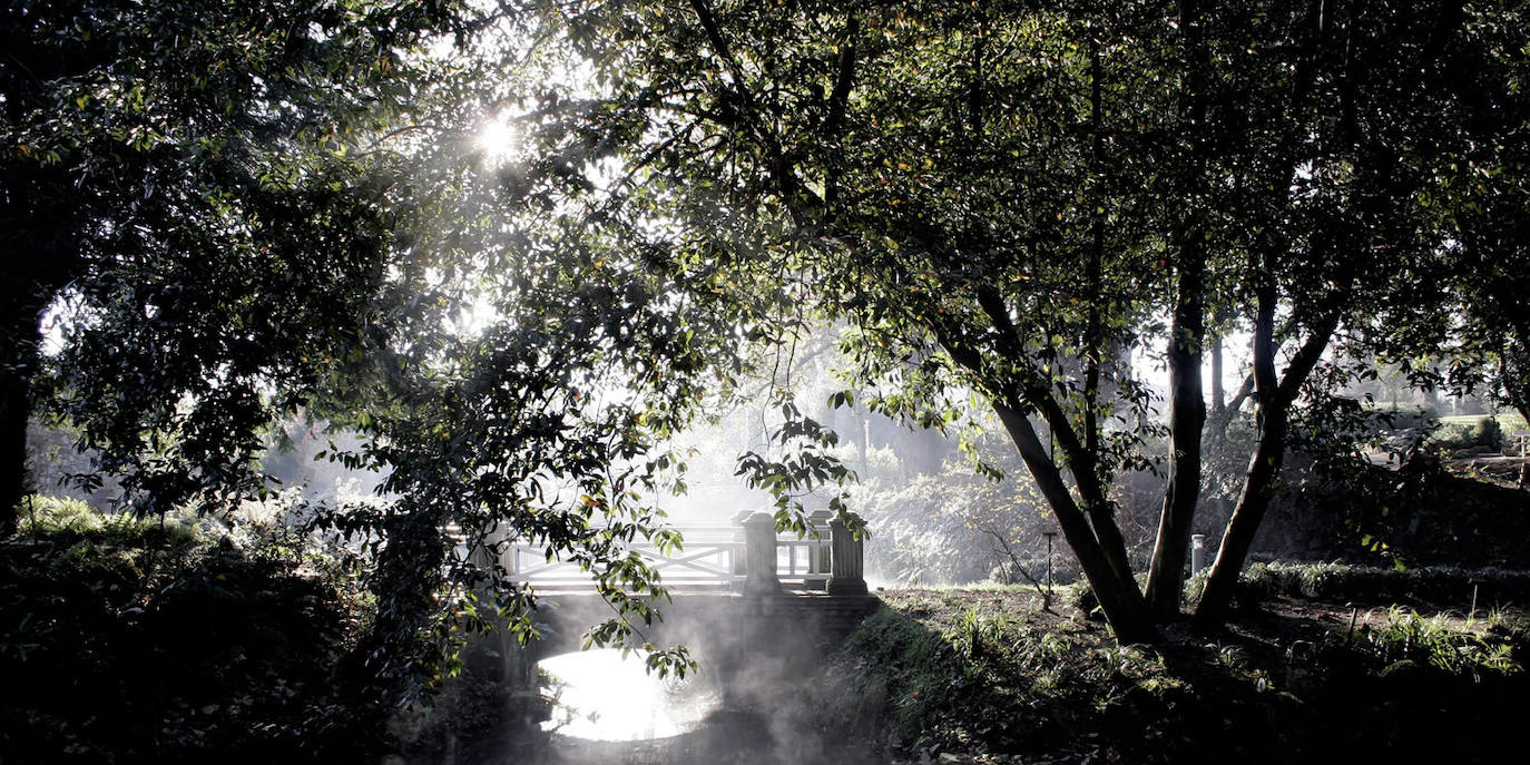 Puente clásico en el Jardín Botánico.