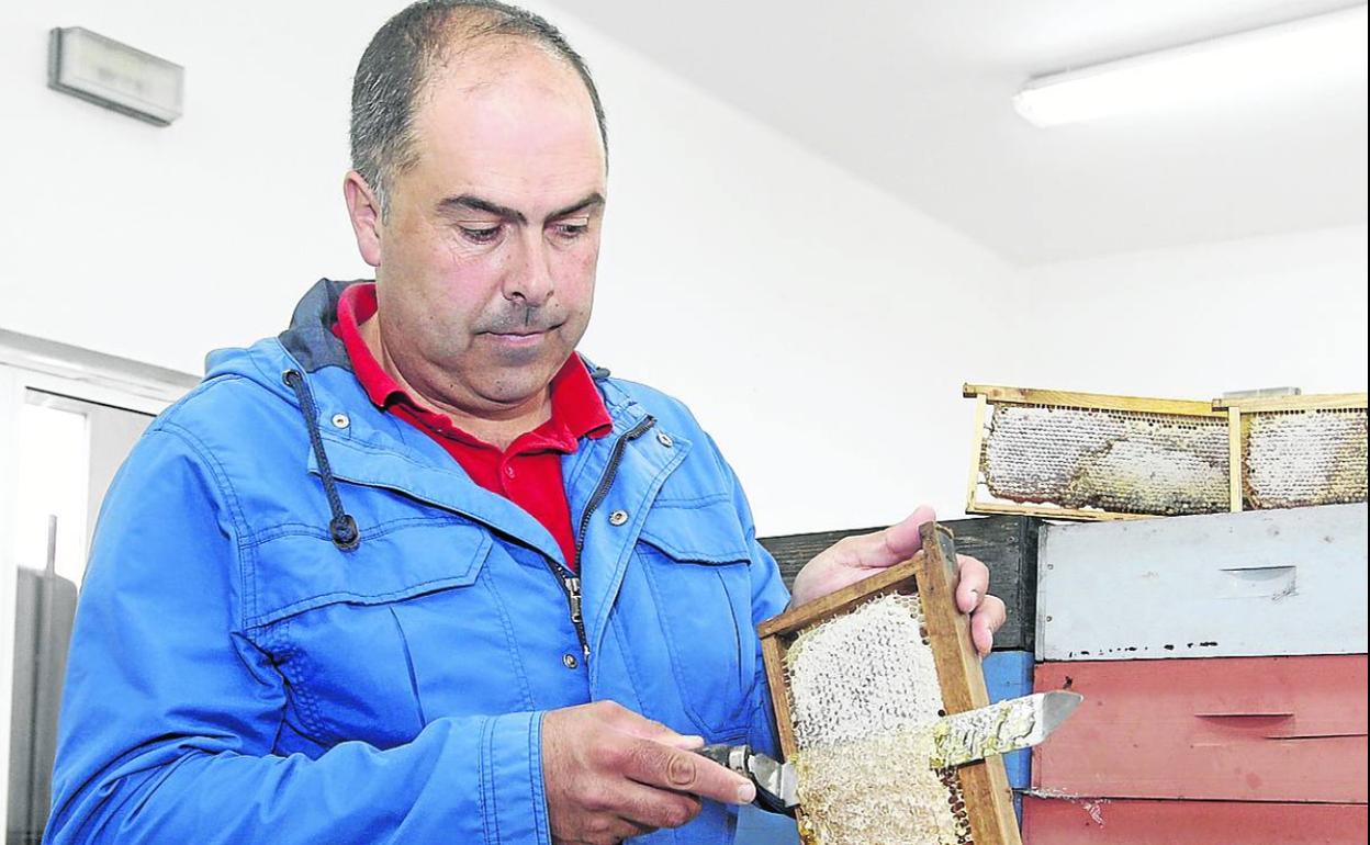 El apicultor Julio Fernández López.