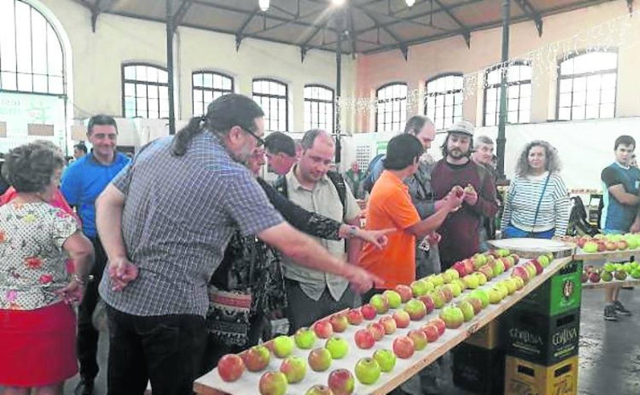 Muestra de manzanas, durante una edición anterior.