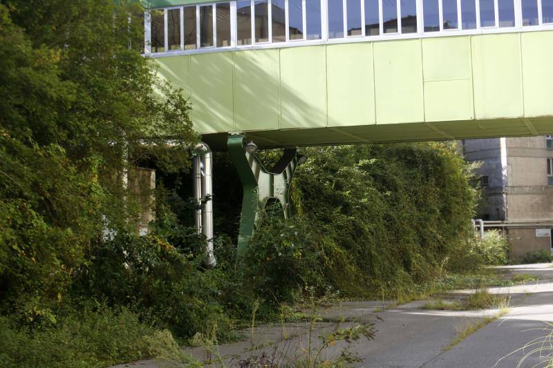 La maleza se 'come' edificios y aceras, árboles caídos, vertederos ilegales, puertas con cristales rotos o tapiadas con maderas y techos esparcidos por el suelo. Esta es la situación en la que se encuentran los antiguos edificios del Hospital Universitario Central de Asturias.