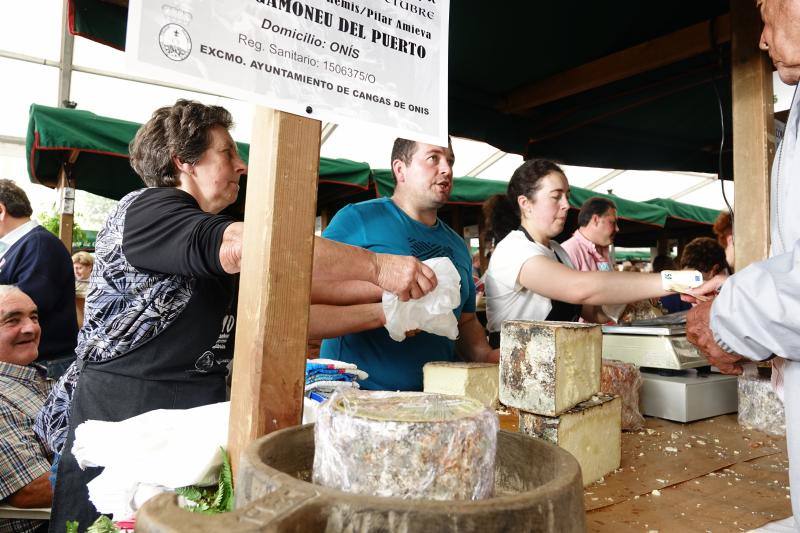 Fotos: Certamen del queso en Cangas y feria de la miel