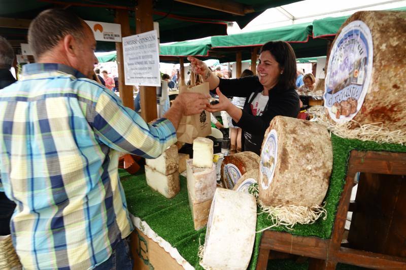 Fotos: Certamen del queso en Cangas y feria de la miel