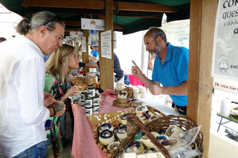 Fotos: Certamen del queso en Cangas y feria de la miel
