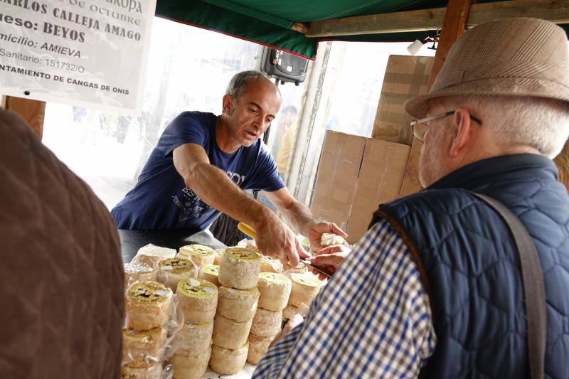 Fotos: Certamen del queso en Cangas y feria de la miel