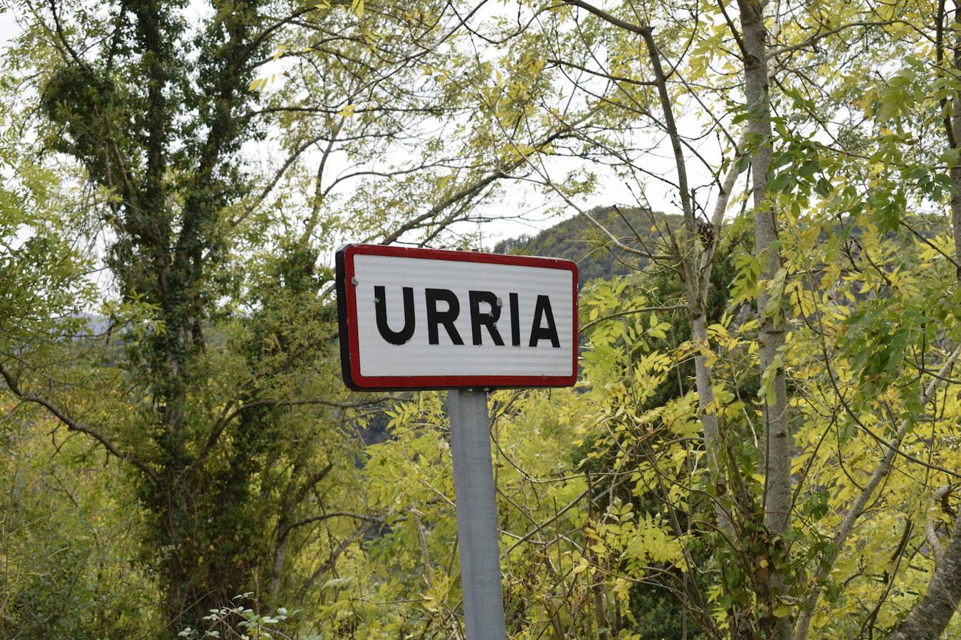 La ruta de las Brañas de Vicenturio y Cueiro es una ruta circular que nos conducirá por las grandes praderías en las que tradicionalmente los pastores dejaban el ganado durante todo el verano. Pasearemos por esta ruta foto a foto y por las partes más destacadas de su recorrido.