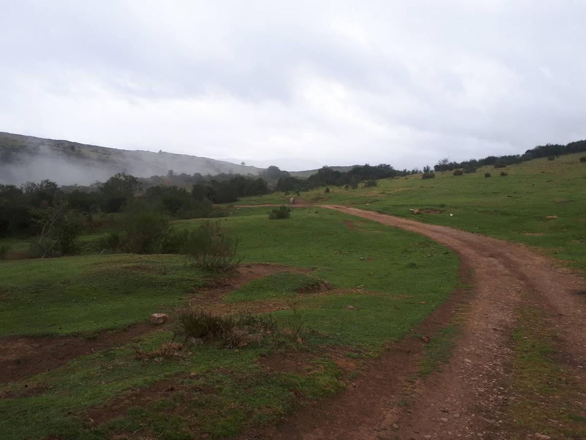 La ruta de las Brañas de Vicenturio y Cueiro es una ruta circular que nos conducirá por las grandes praderías en las que tradicionalmente los pastores dejaban el ganado durante todo el verano. Pasearemos por esta ruta foto a foto y por las partes más destacadas de su recorrido.