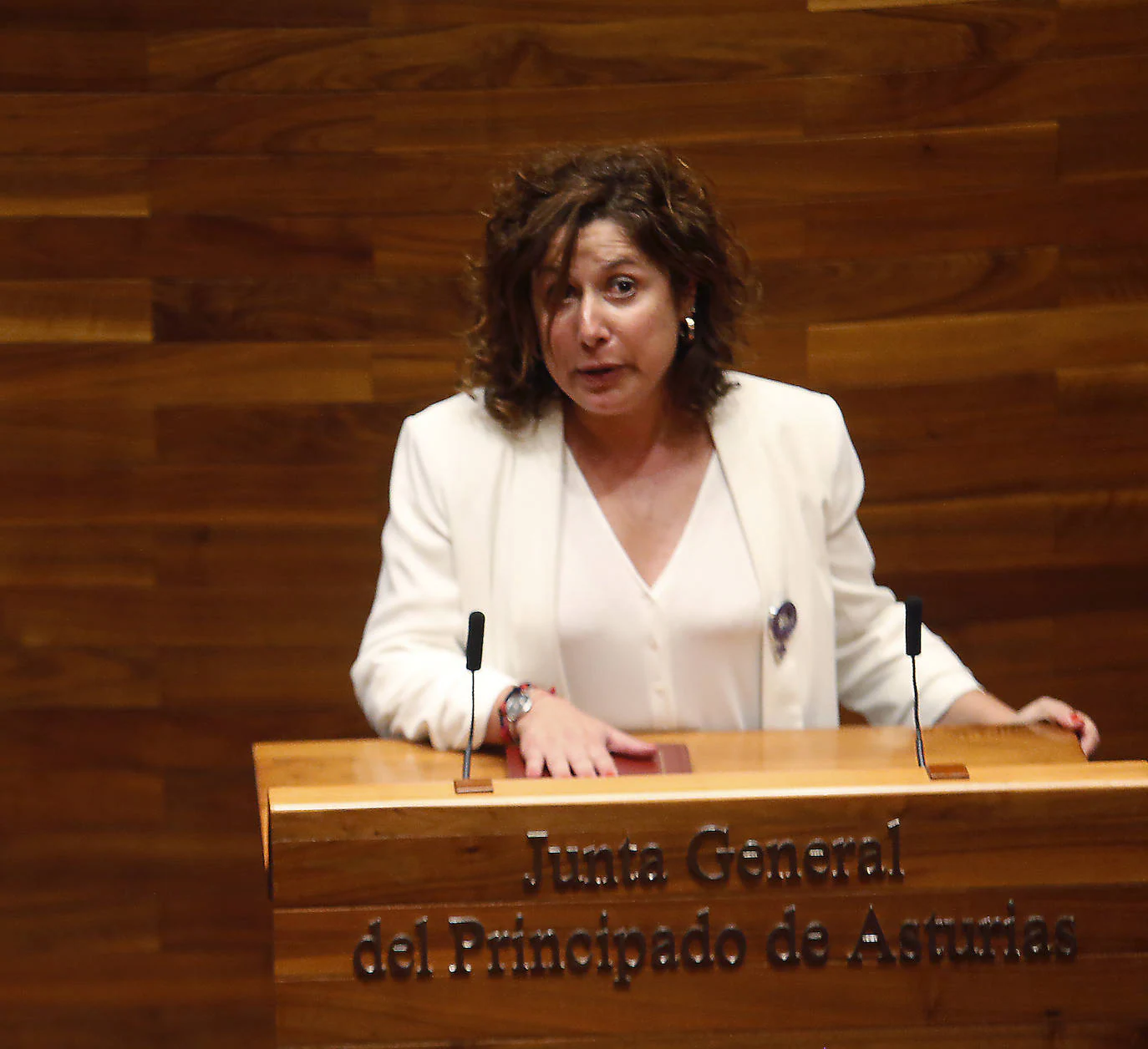Carmen Eva Pérez. Diputada con dedicación exclusiva (PSOE Centro). 4.417,2 euros (bruto al mes).