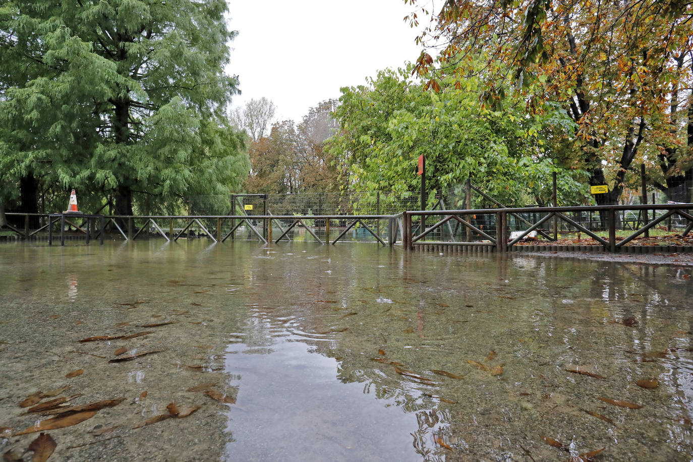 Las fuertes lluvias que caen desde este sábado en Gijón y que continúan este domingo arreciando en la ciudad, han obligado a cerrar el parque Isabel La Católica.