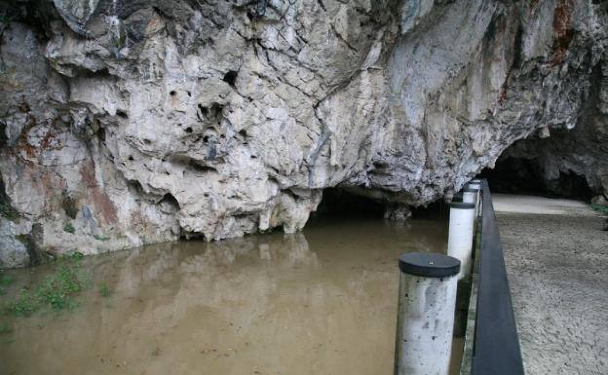 Río San Miguel desbordado en 2007 a su paso por la entrada a la cueva de Tito Bustillo.