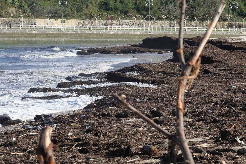 El temporal de los últimos días en el oriente asturiano ha dejado una marea de residuos en playas como la de Santa Marina, en Ribadesella. 