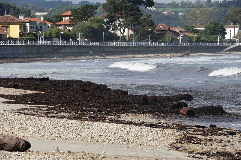 El temporal de los últimos días en el oriente asturiano ha dejado una marea de residuos en playas como la de Santa Marina, en Ribadesella. 