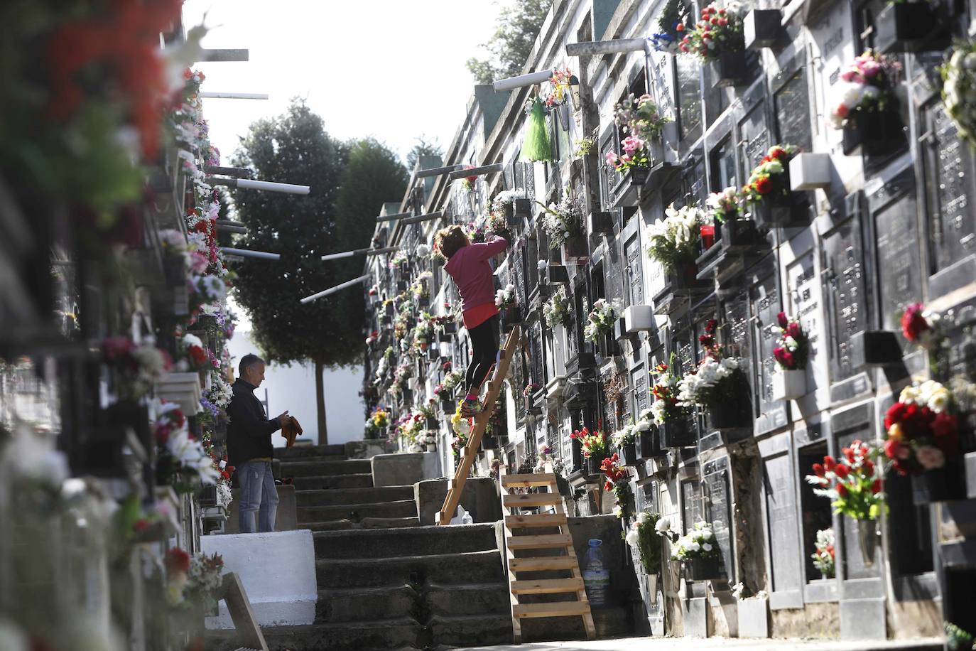 Suco. Rodeado del Parque de los Pericones, en el núcleo urbano de Gijón, este cementerio se inauguró en 1876 y destaca por su diseño aterrazado, con rasgos medievales.