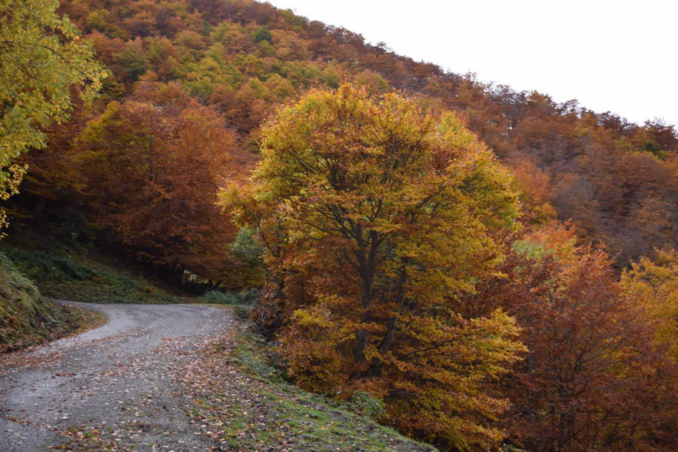 Fotos: Ruta desde Río Aller al puerto de Vegarada