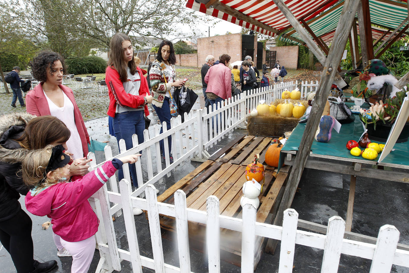 El Jardín Botánico de Gijón ha vuelto a ser escenario de una nueva edición del concurso 'Calabazas y Calaveras'. La más grande, la más rara o la tradicional han tenido su reconocimiento.