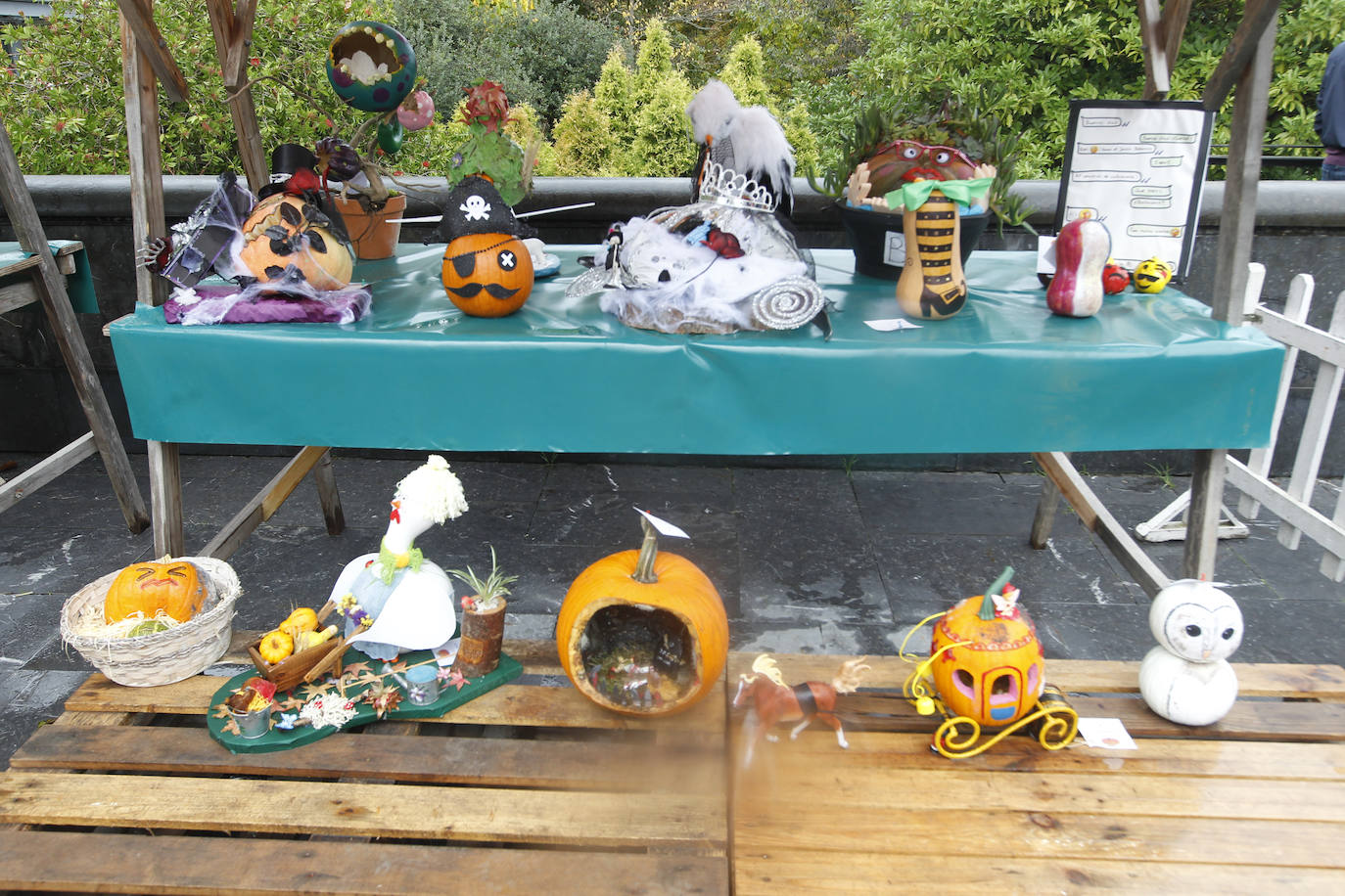 El Jardín Botánico de Gijón ha vuelto a ser escenario de una nueva edición del concurso 'Calabazas y Calaveras'. La más grande, la más rara o la tradicional han tenido su reconocimiento.