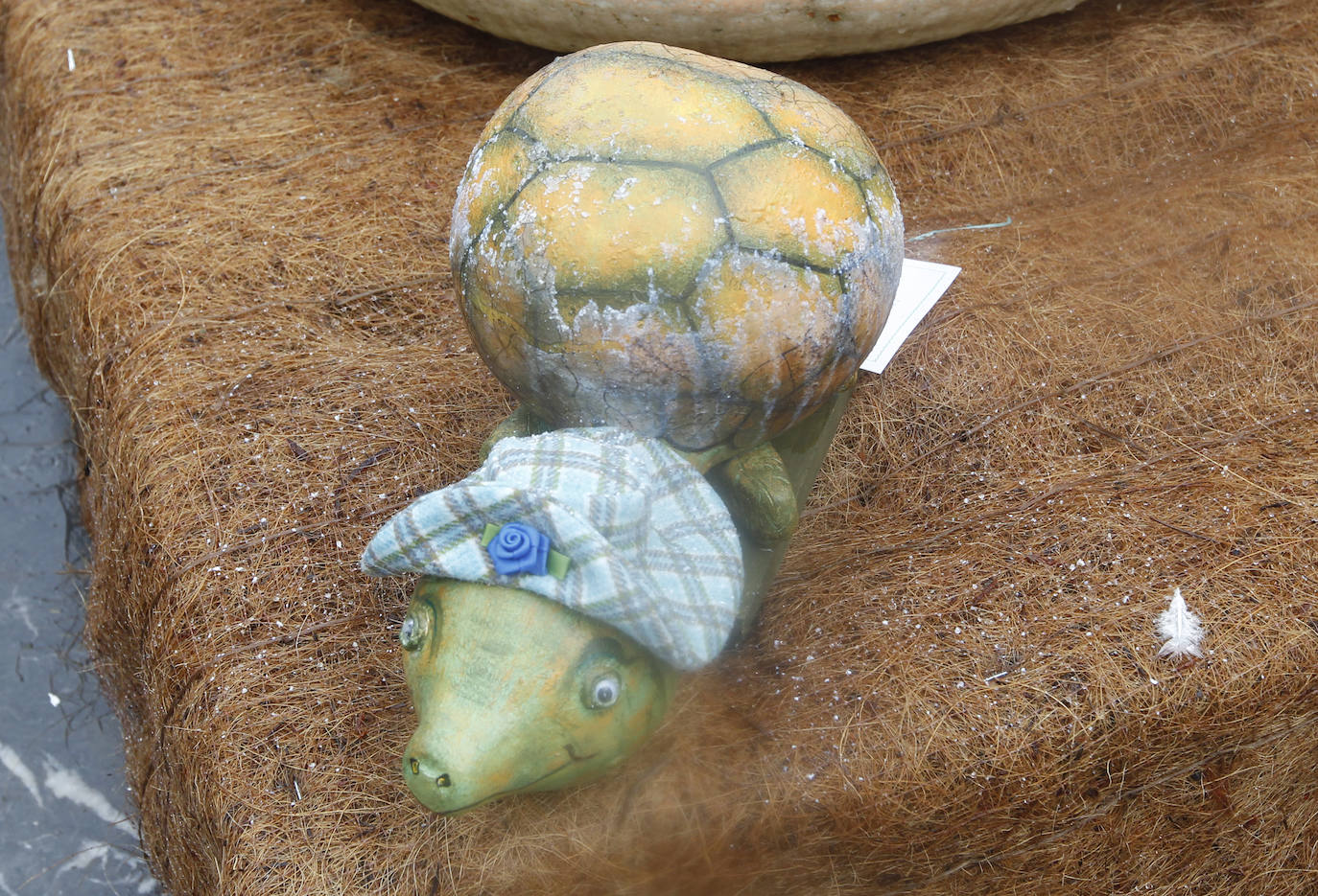 El Jardín Botánico de Gijón ha vuelto a ser escenario de una nueva edición del concurso 'Calabazas y Calaveras'. La más grande, la más rara o la tradicional han tenido su reconocimiento.