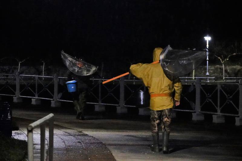Setenta anguleros participarán este año en la campaña de la angula en la costa oriental asturiana. 