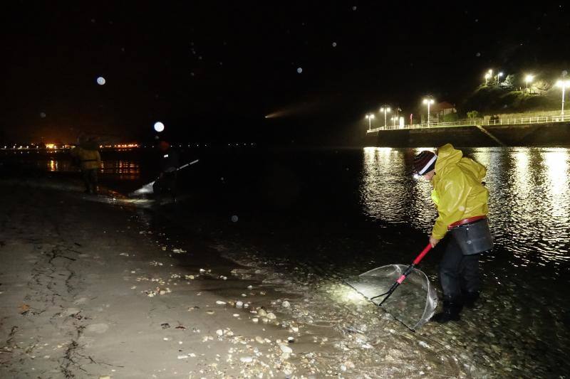 Setenta anguleros participarán este año en la campaña de la angula en la costa oriental asturiana. 