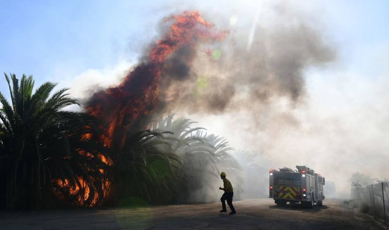 El sur de California lleva días siendo arrasada por varios incendios forestales que los bomberos tratan de contener.