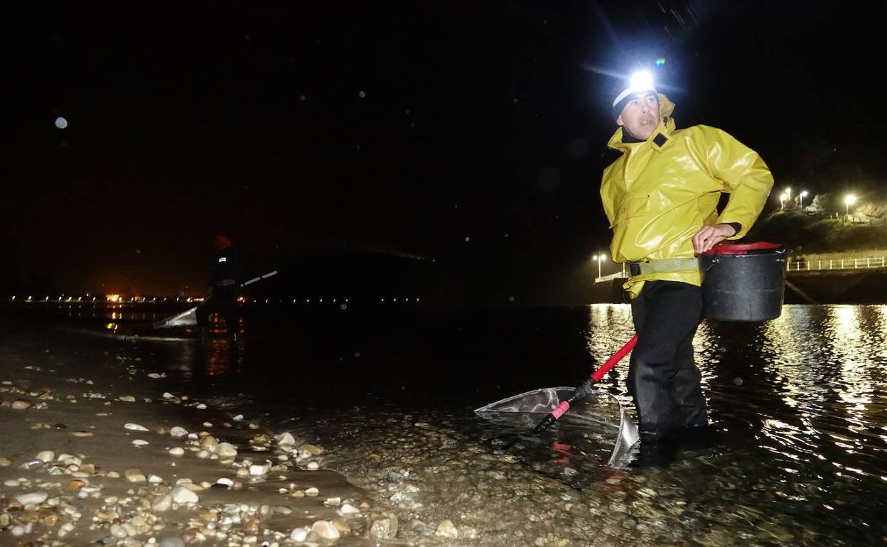 Los anguleros comienzan a buscar ejemplares en la playa riosellana de Santa Marina. 