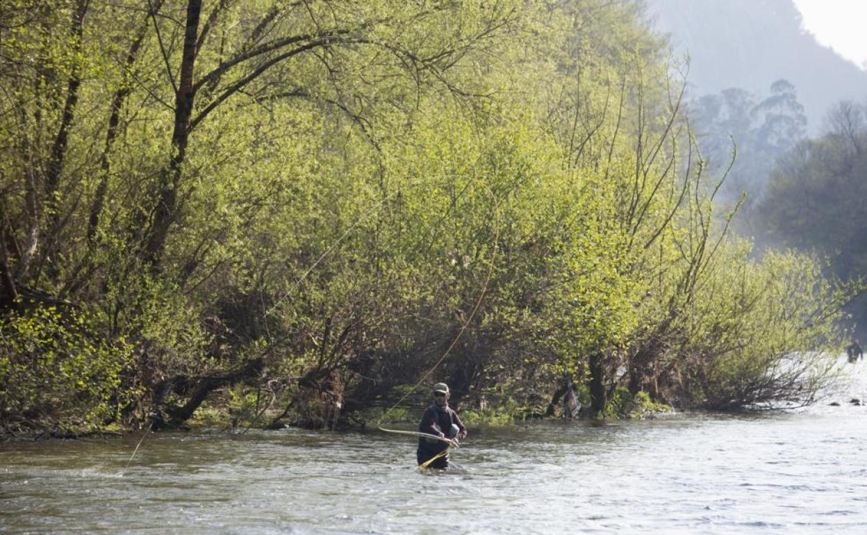 La temporada de pesca del salmón y la trucha comenzará el 15 de marzo