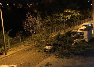 Imagen secundaria 1 - Arriba, un árbol corta la avenida Carlos Marx de Gijón. Abajo, un árbol sobre varios coches en Lugones y daños en Viesques.