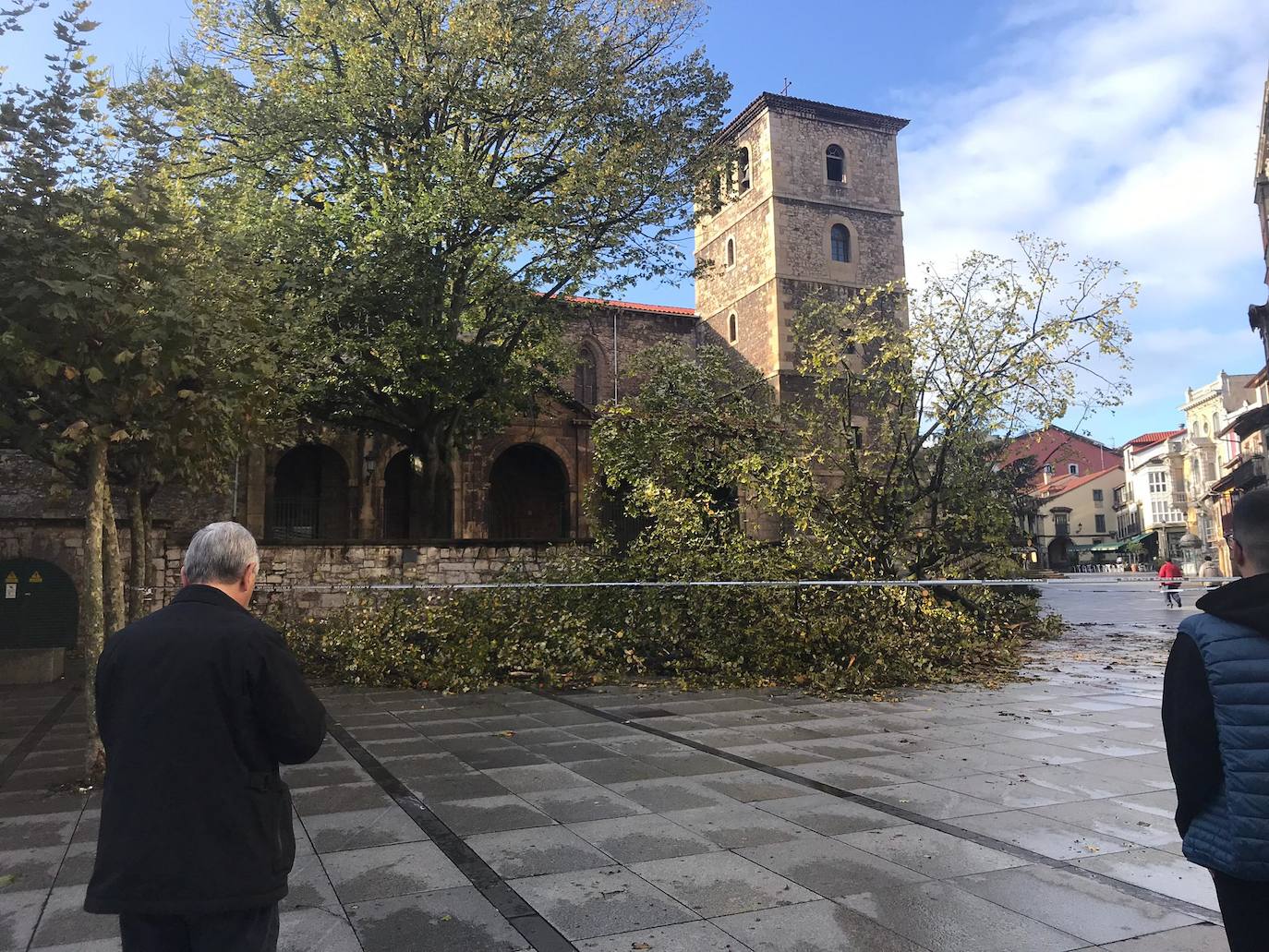 La borrasca 'Amelie' que azota la cornisa Cantábrica ha dejado rachas de hasta 130 kilómetros por hora en Asturias, lo que ha provocado numerosos incidentes en la región, sobre todo, árboles caídos.