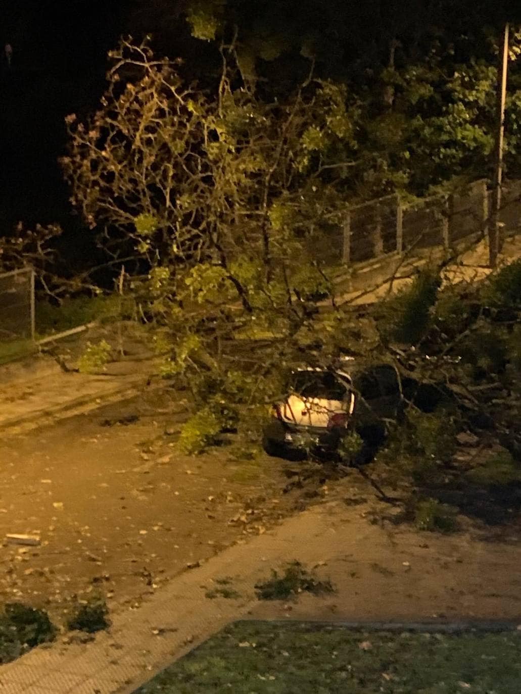 La borrasca 'Amelie' que azota la cornisa Cantábrica ha dejado rachas de hasta 130 kilómetros por hora en Asturias, lo que ha provocado numerosos incidentes en la región, sobre todo, árboles caídos.