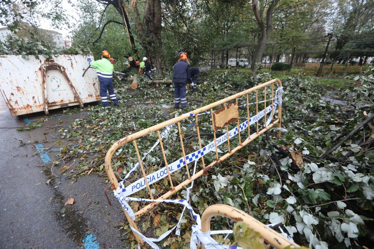 El equipo de Parques y Jardines trabajó todo el día para limpiar la zona de El Muelle. 